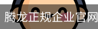 腾龙正规企业官网